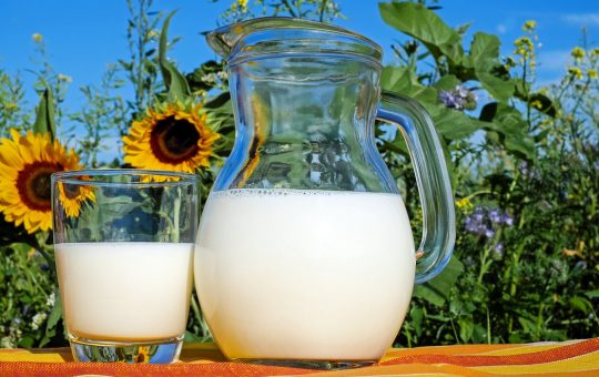 Les avantages du mousseur à lait électrique