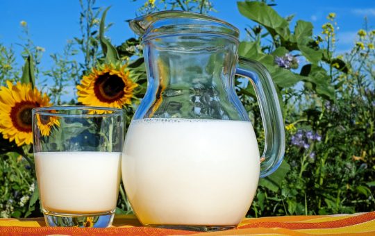 Les avantages du mousseur à lait électrique