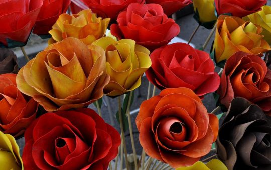 Tout savoir sur la signification du nombre de roses dans un bouquet