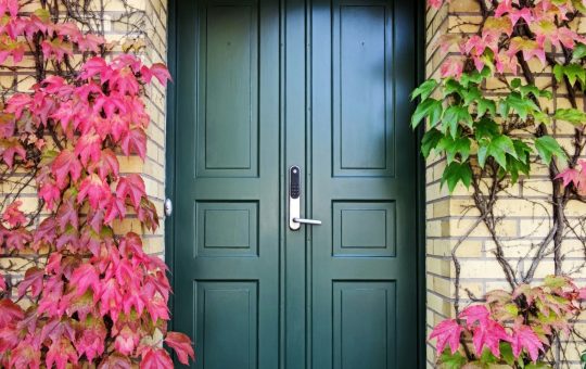 Apportez une touche unique à votre maison avec une porte d'entrée colorée à Bordeaux