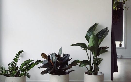 Décorer un mur blanc avec style : des inspirations pour transformer vos espaces